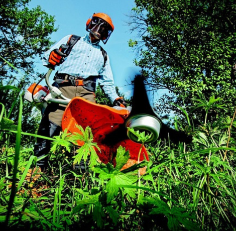 Fűkaszálás és Magasgazvágás Dorog, Esztergom – Profi Zöldterület Karbantartás